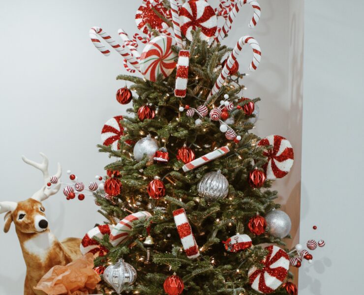 peppermint tree lane